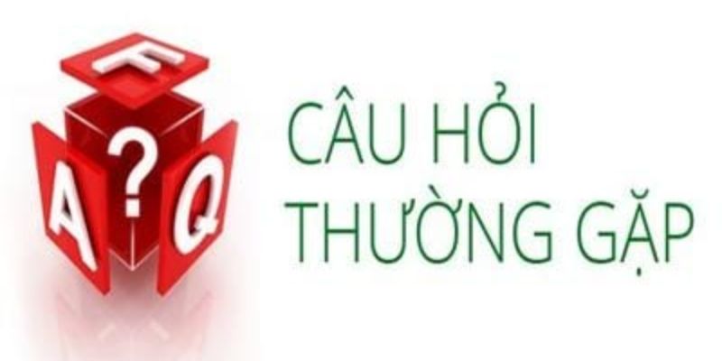 Câu hỏi thường gặp